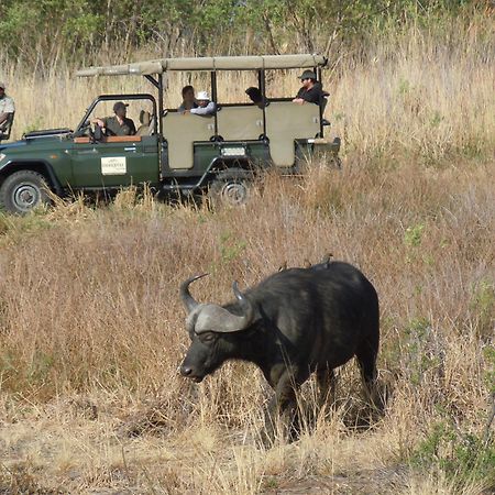 Little Mongena Tented Camp Klipdrift Bagian luar foto