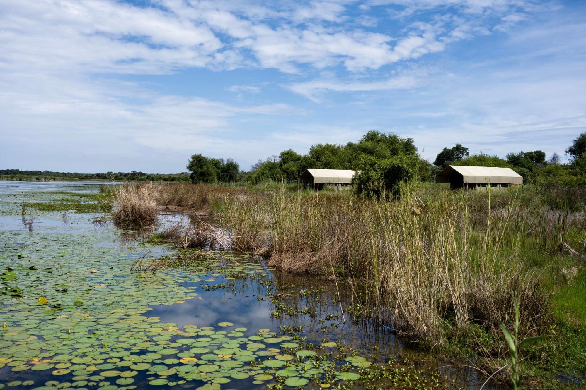 Little Mongena Tented Camp Klipdrift Bagian luar foto